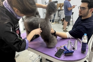 INFINITY GROOMING Masterclass Semineri tamamlandı