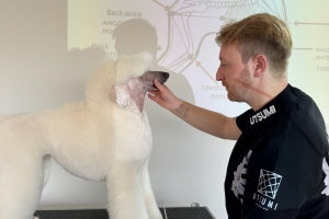 PIETRO VITALE ile Poodle Masterclass Seminerinden kareler