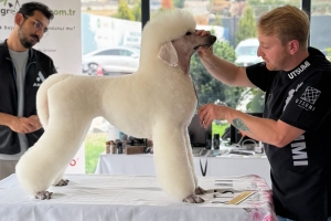 PIETRO VITALE ile Poodle Masterclass Seminerinden kareler