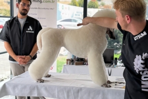 PIETRO VITALE ile Poodle Masterclass Seminerinden kareler
