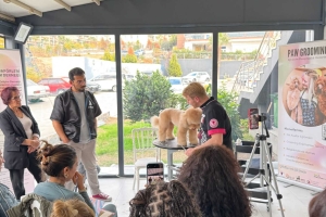 PIETRO VITALE ile Poodle Masterclass Seminerinden kareler