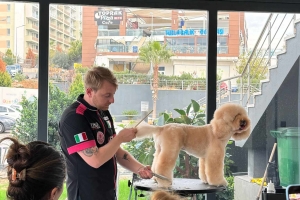 PIETRO VITALE ile Poodle Masterclass Seminerinden kareler