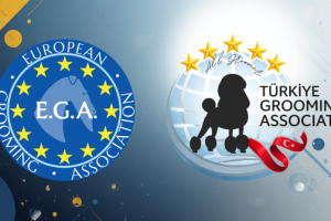 DERNEĞİMİZ HAKKINDA 