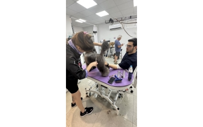 Groomer’ın Sorumluluğu: Sadece Tıraş Yapmak Değil, Bir Canlının Güvenliğini Üstlenmektir.