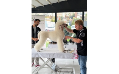 PIETRO VITALE ile Poodle Masterclass Seminerinden kareler