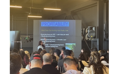 Groomer Mesleğin Temsilcisidir