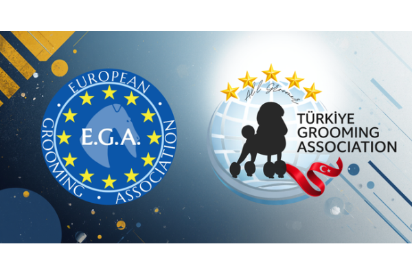 DERNEĞİMİZ HAKKINDA 