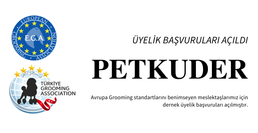 Profesyoneller İçin Resmi Üyelik Süreci Başladı