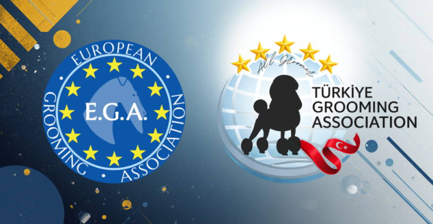 Pet Kuaförlük Mesleğinde Yeni Dönem! Uluslararası Standartların Parçası Olun, Avrupa Ağına Katılın!