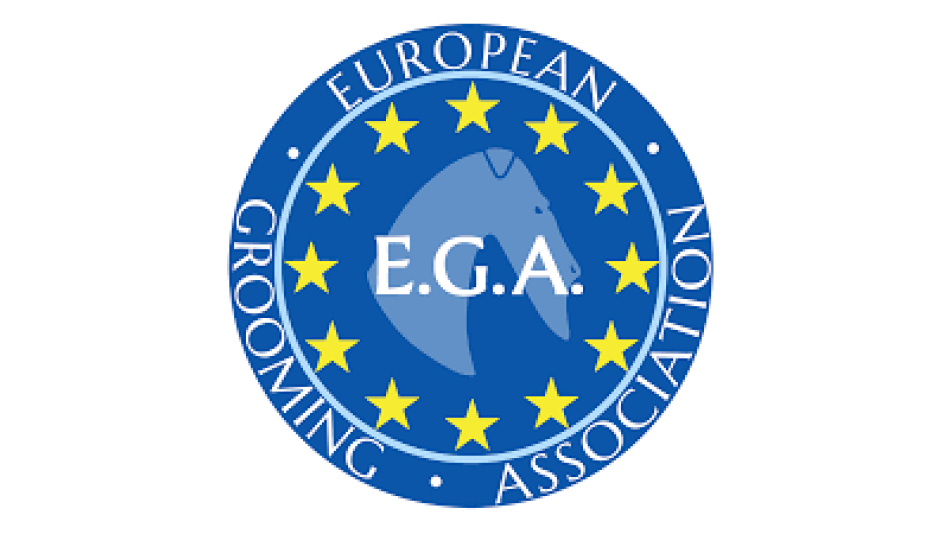 Türkiye’de Pet Kuaförlüğü Mesleğinde Yeni Dönem Başlıyor