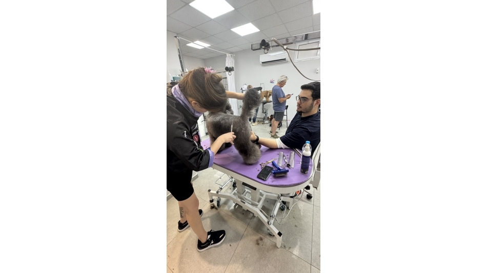 Groomer’ın Sorumluluğu: Sadece Tıraş Yapmak Değil, Bir Canlının Güvenliğini Üstlenmektir.