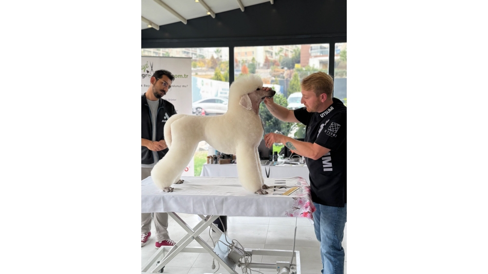 PIETRO VITALE ile Poodle Masterclass Seminerinden kareler